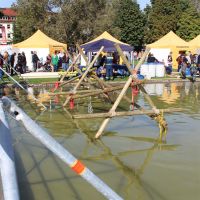 img_4006 gro